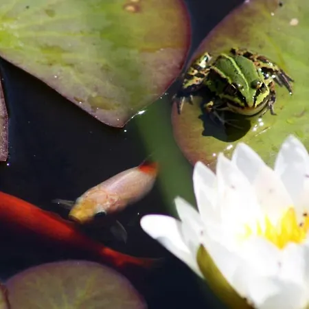 Living Lust 3 In * Malchow (Mecklenburg-Vorpommern)