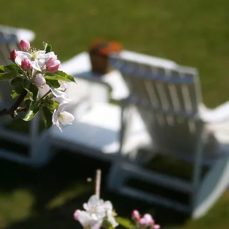 Living Lust 3 In Daire *